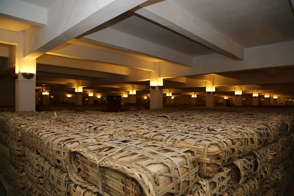 石家庄干仓普洱茶仓库展示